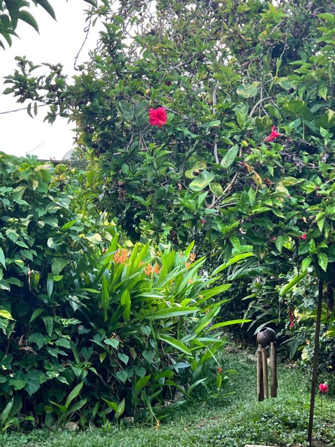 Jamaica Colors Hotel And Eco-Retreat Port Antonio Esterno foto