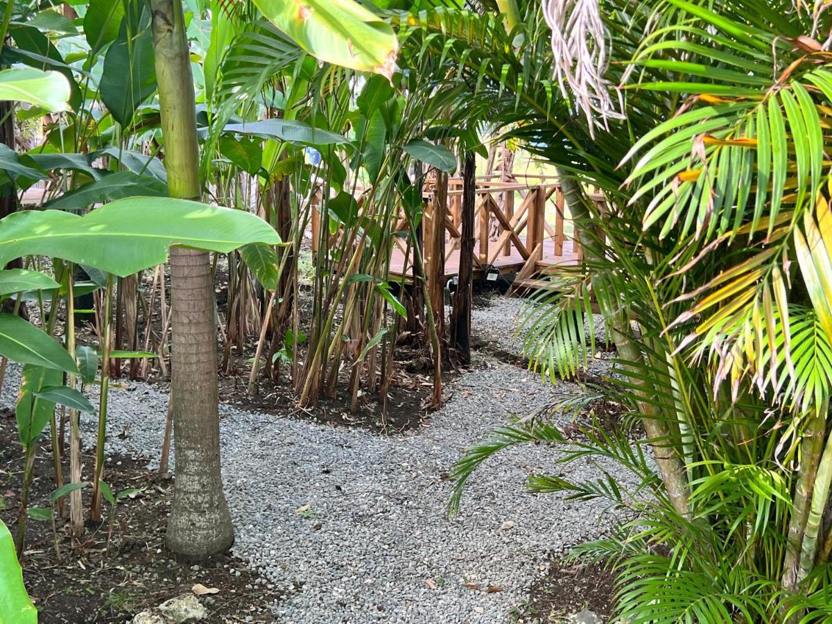 Jamaica Colors Hotel And Eco-Retreat Port Antonio Esterno foto