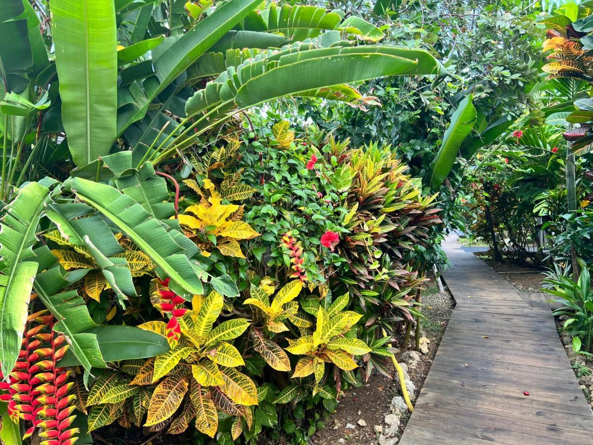 Jamaica Colors Hotel And Eco-Retreat Port Antonio Esterno foto