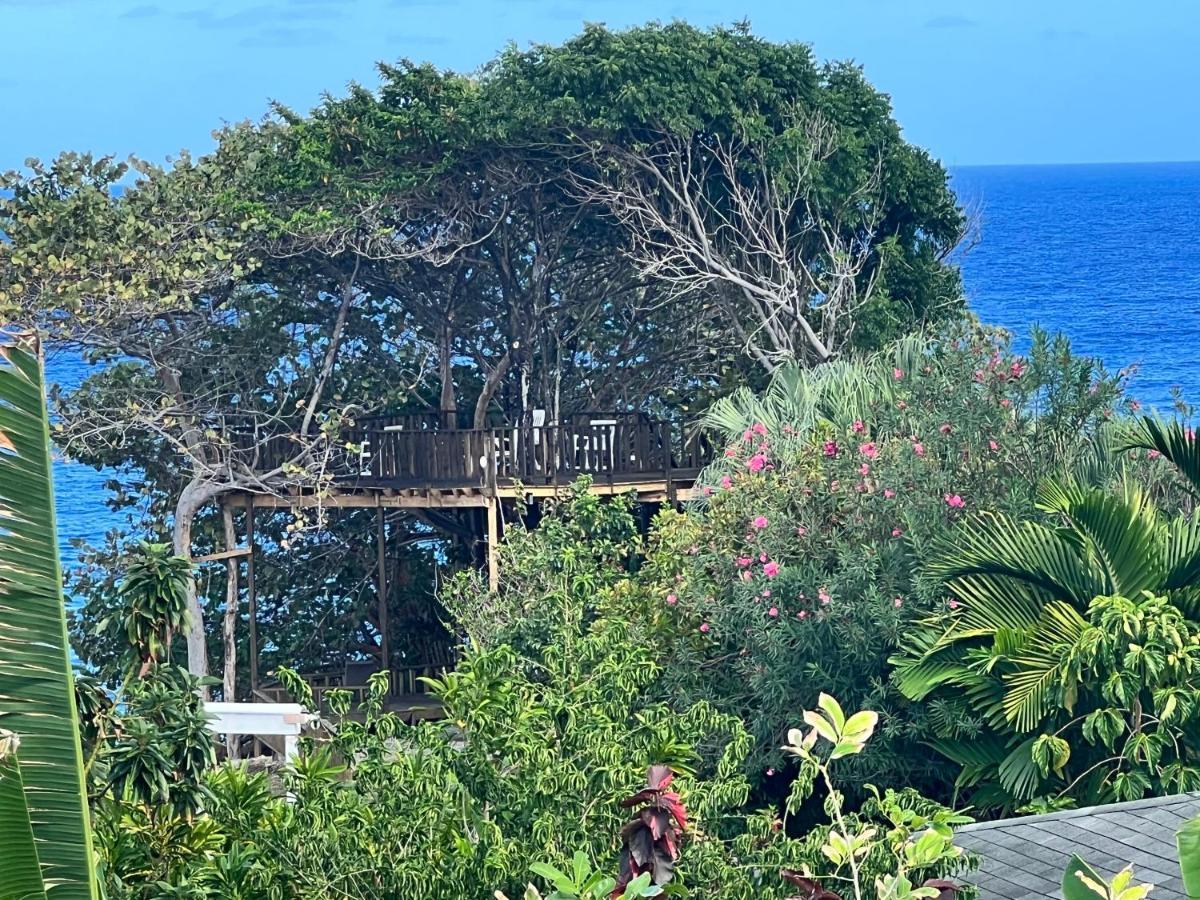 Jamaica Colors Hotel And Eco-Retreat Port Antonio Esterno foto