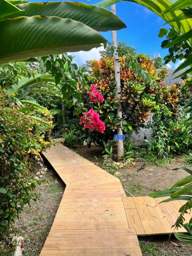Jamaica Colors Hotel And Eco-Retreat Port Antonio Esterno foto