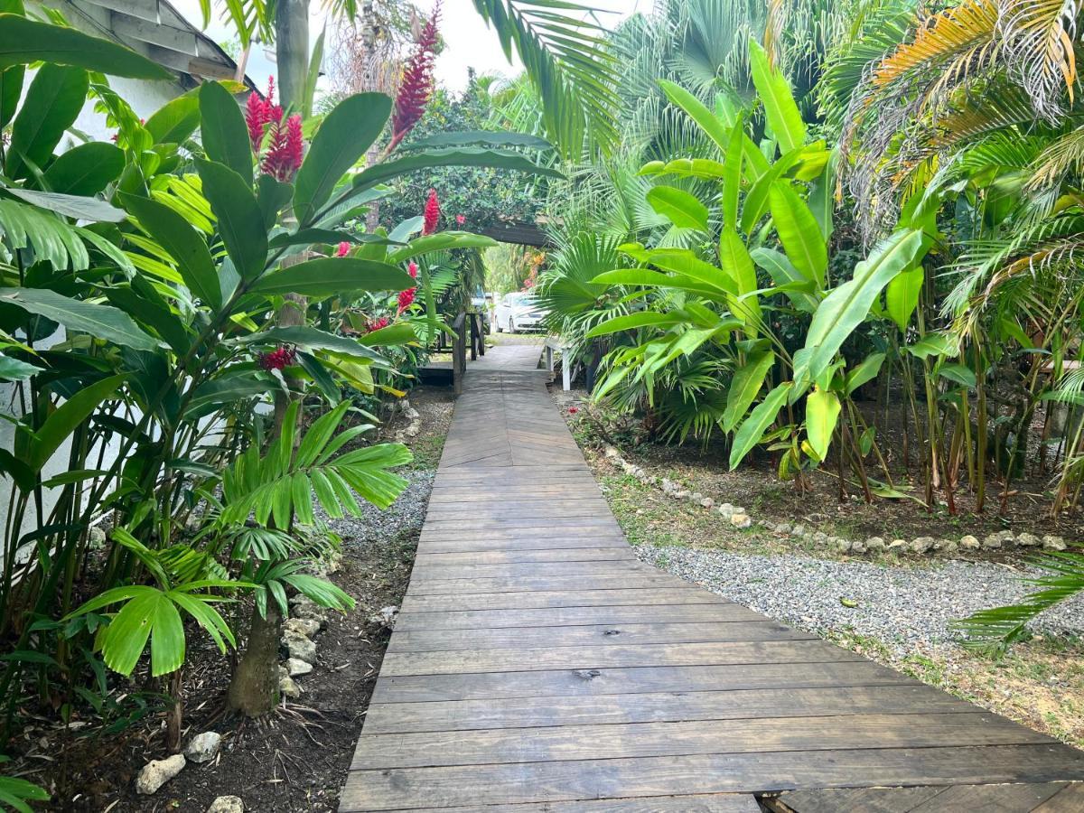 Jamaica Colors Hotel And Eco-Retreat Port Antonio Esterno foto