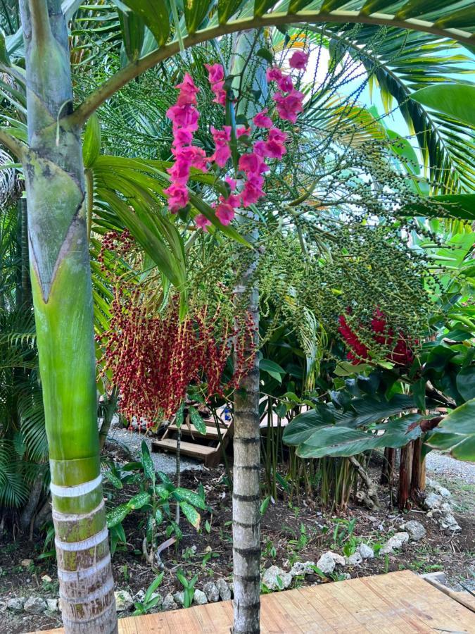 Jamaica Colors Hotel And Eco-Retreat Port Antonio Esterno foto