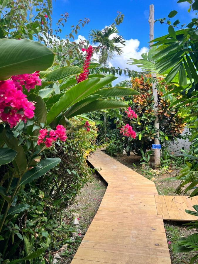 Jamaica Colors Hotel And Eco-Retreat Port Antonio Esterno foto