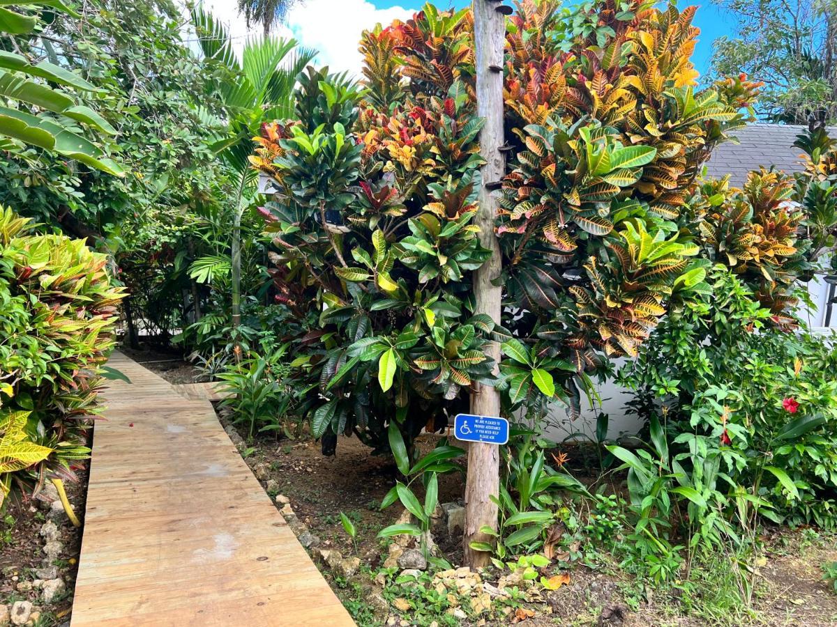 Jamaica Colors Hotel And Eco-Retreat Port Antonio Esterno foto